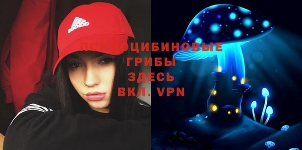 не бодяженный Каменск-Шахтинский