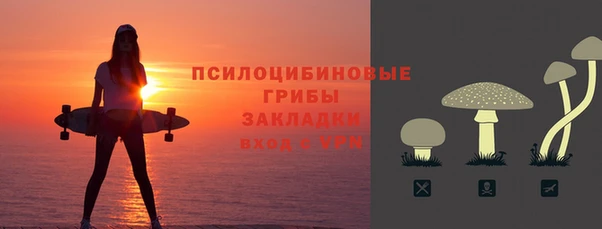 ПСИЛОЦИБИНОВЫЕ ГРИБЫ Каменка